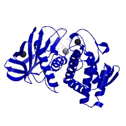 Image of CATH 3flf