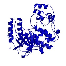 Image of CATH 3fln