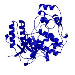 Image of CATH 3flq