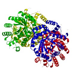 Image of CATH 3flu