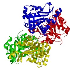 Image of CATH 3fmf