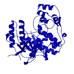Image of CATH 3fmh