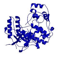 Image of CATH 3fml