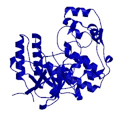 Image of CATH 3fmm