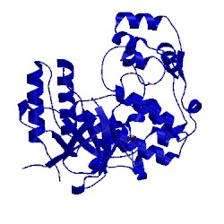 Image of CATH 3fmn