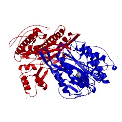 Image of CATH 3fmr