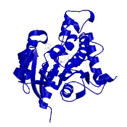 Image of CATH 3fng