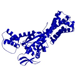 Image of CATH 3fnr