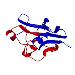 Image of CATH 3fnv