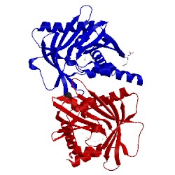 Image of CATH 3fo5