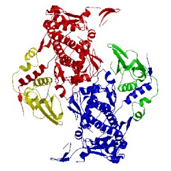 Image of CATH 3fof