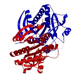 Image of CATH 3fow