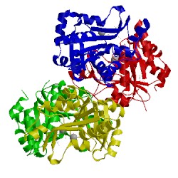 Image of CATH 3fpa