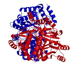 Image of CATH 3fqa