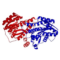 Image of CATH 3frj