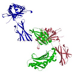 Image of CATH 3fru