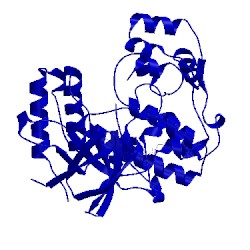 Image of CATH 3fsf
