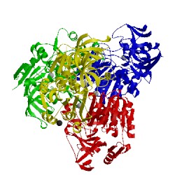 Image of CATH 3fsr