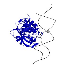 Image of CATH 3ftf