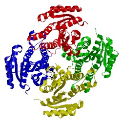 Image of CATH 3ftp