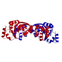 Image of CATH 3fut