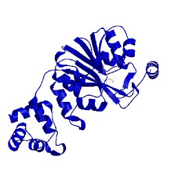Image of CATH 3fuu