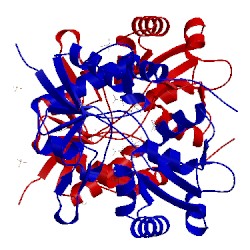 Image of CATH 3fvo