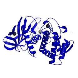 Image of CATH 3fvp