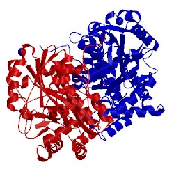 Image of CATH 3fvs