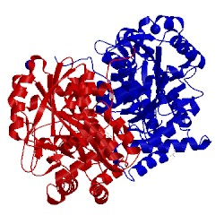 Image of CATH 3fvu