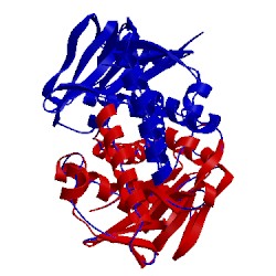 Image of CATH 3fwe
