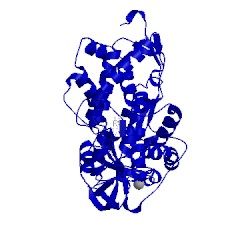 Image of CATH 3fwi