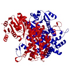 Image of CATH 3fwn