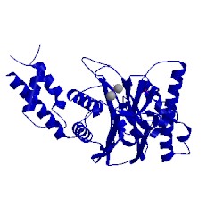 Image of CATH 3fxk