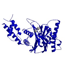 Image of CATH 3fxl