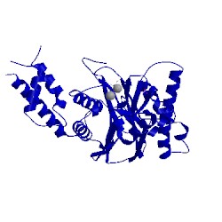 Image of CATH 3fxm