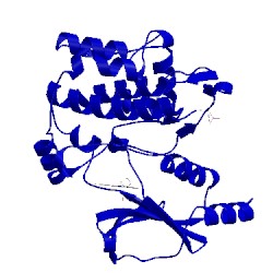 Image of CATH 3fy0
