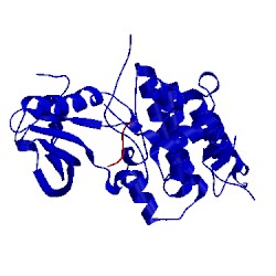 Image of CATH 3fy2