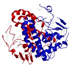 Image of CATH 3fyg