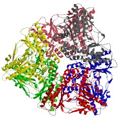 Image of CATH 3fz8