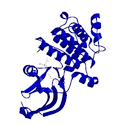 Image of CATH 3fzt