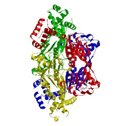 Image of CATH 3fzv