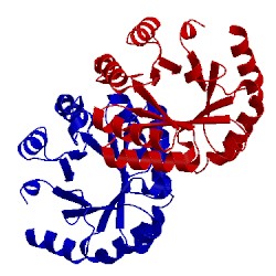 Image of CATH 3g1s