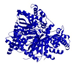 Image of CATH 3g2h