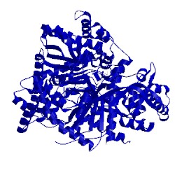 Image of CATH 3g2l