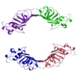 Image of CATH 3g3a