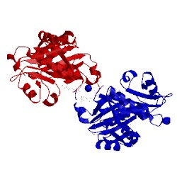 Image of CATH 3g3s