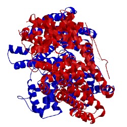 Image of CATH 3g4d