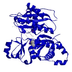 Image of CATH 3g6v