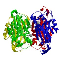 Image of CATH 3g6w